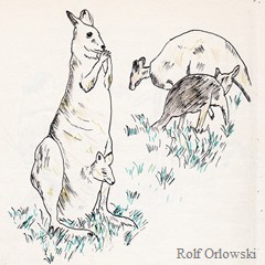 a_032_Bild_Tiere_1 a_032_Bild_Tiere_1
