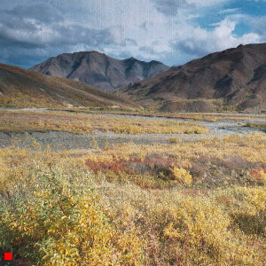Denali NP_300x300 Denali NP_300x300