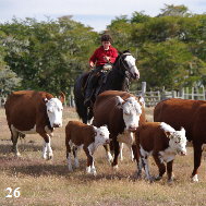 Gauchos_03