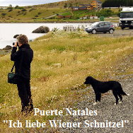 Hunde_04