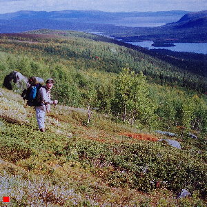 Lappland 1992_300x300 Lappland 1992_300x300
