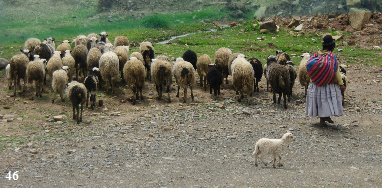 ORLO4540 ORLO4540