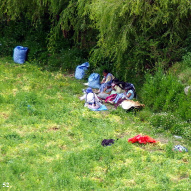 ORLO4619 ORLO4619