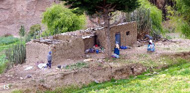 ORLO4621 ORLO4621