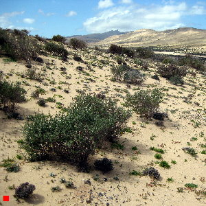 Spanien Fuerteventura Spanien Fuerteventura